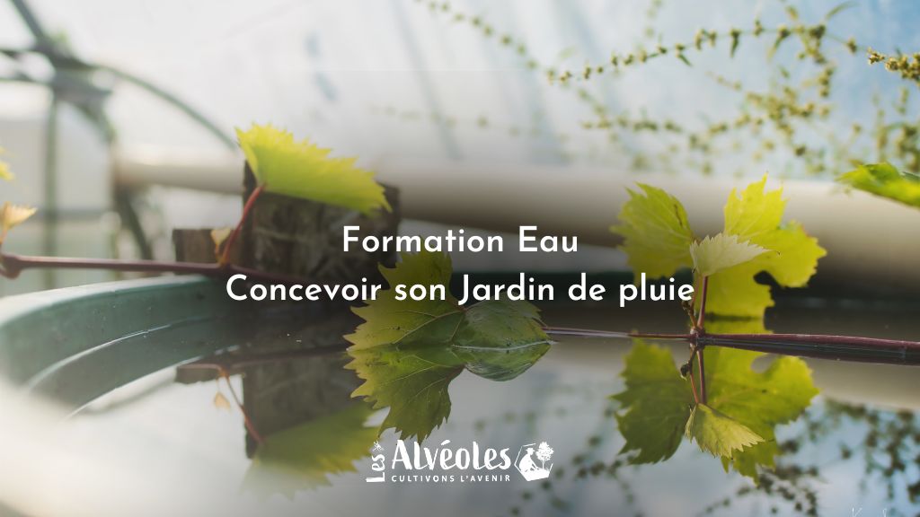 Formation Eau "Jardin de Pluie, cultivez l'eau pour créer l'abondance
